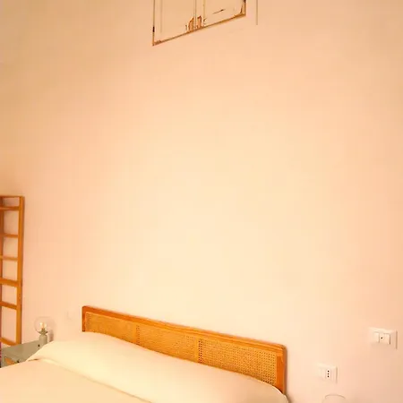Ajamola '800 *